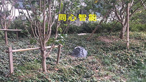 同心智能助力活動(dòng)